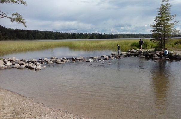 The headwaters of the Mississippi River at Itasca State Park.